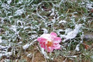 Der erste winterliche Vorbote: Morgenfrost